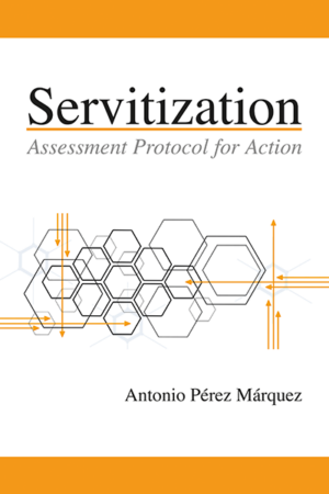 Servitization: Assessment Protocol for Action