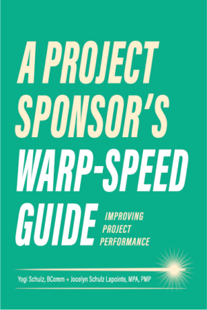 A Project Sponsor's Warp-Speed Guide: Improving Project Performance